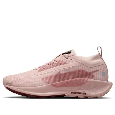 Nike (wmns)  Pegasus Trail 5 Gtx 'pink Oxford'
