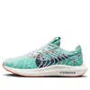 Nike (wmns)  Pegasus Turbo Next Nature 'ice Jade Red' In Multi