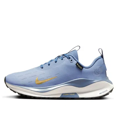 Nike (wmns)  Reactx Infinity Run 4 Gore-tex 'ashen Slate Metallic Gold'