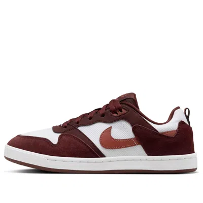 Nike (wmns)  Sb Alleyoop 'mystic Dates Claystone Red'