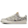 Nike (wmns)  Sb Zoom Pogo Plus Premium 'city Of Style' In Neutral