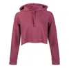 Nike (wmns)  Sportswear Ribbed Hoodie 'purple Red'