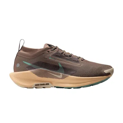 Pre-owned Nike Wmns Pegasus Trail 5 Gore-tex 'mink Brown Orange Chalk' | Women's Size 7
