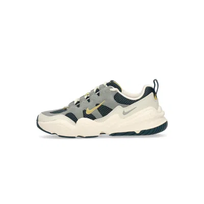 Nike Wmns Tech Hera Women's Low Shoe Deep Jungle/buff Gold/sea Glass