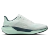 Nike Pegasus Easyon Running Shoe In Green