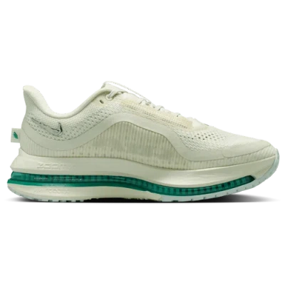 Nike Womens  Pegasus Premium In Sea Glass/malachite/mtlc Silver