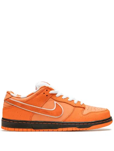 Nike X Concepts Sb Dunk Low Sneakers In Orange