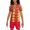 NIKE YOUTH NIKE GOLD BARCELONA 2023/24 DRAC PACK ACADEMY PRO PRE-MATCH TOP