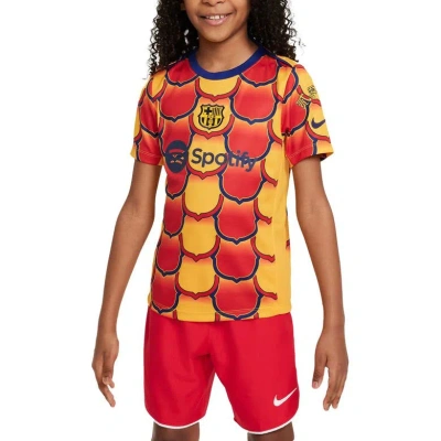 Nike Fc Barcelona Academy Pro Big Kids'  Dri-fit Soccer Pre-match Top In Yellow