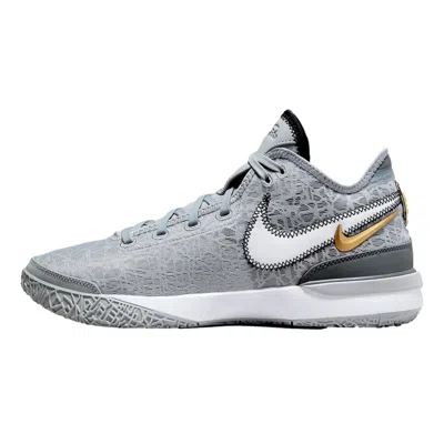 Nike Zoom Lebron Nxxt Gen Wolf Grey/white-iron Grey Dr8784-004 Men's