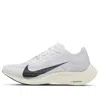 Nike Pegasus Plus Running Shoe In Silver
