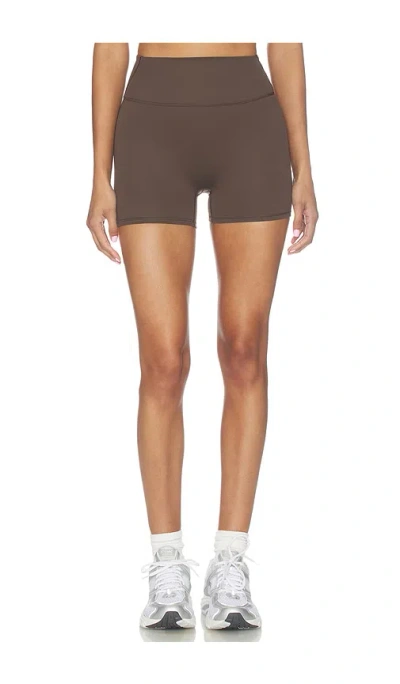 Nikeskims Matte 3 Inch Short In Brown