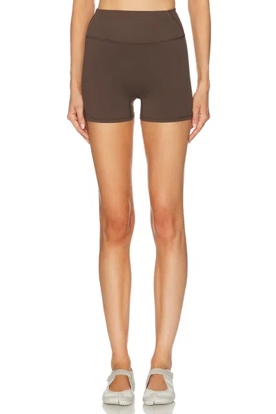 Nikeskims Matte 3 Short In Brown