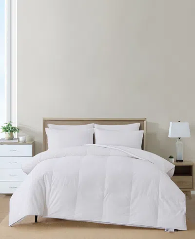 Nikki Chu 300-thread Count Down Comforter, Twin
