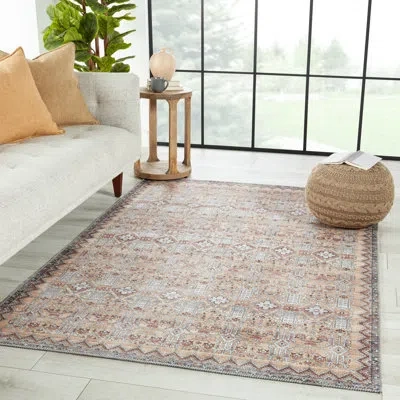 Nikki Chu Dalia Machine Washable Performance Tan/light Gray Rug In Tan,light Gray
