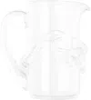Niko June Ivy Pitcher In Clear