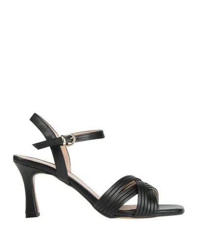 Nila & Nila Woman Sandals Black Size 7 Synthetic Fibers