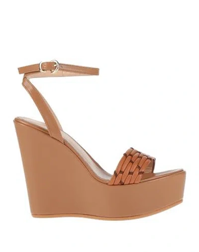 Nila & Nila Woman Sandals Tan Size 8 Synthetic Fibers In Brown