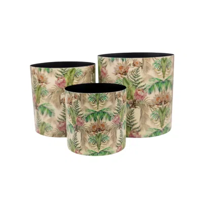 Nila Parmar Designs Green Canopy Nature Trio Vases-set Of Three