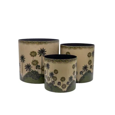 Nila Parmar Designs Green Palm Leaf Vase Set -set Of 3