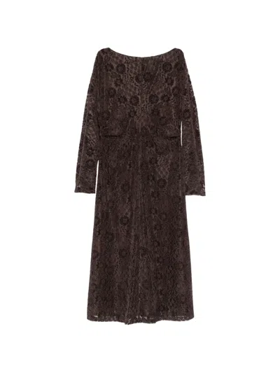 Nina 14.7 Floral-lace Midi Dress In Brown