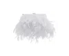 Nina All Over Feather Frame Clutch In White