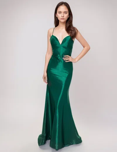 Nina Canacci 6632 Fitted Long Mermaid Formal Prom Dress In Green