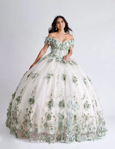 Nina Canacci Q102 Sweet 16 Long Ball Gown Quinceanera Dress
