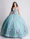 Nina Canacci Q105 Ball Gown Long Sweet 16 Floral Quinceanera Dress In Green