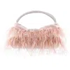 Nina Crystal Handle Feather Clutch In Pattern