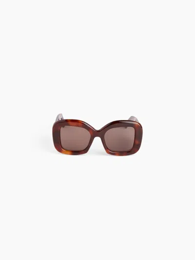 Nina Ricci Full Moon Oversize Shiny Havana Sunglasses Tu In Multi