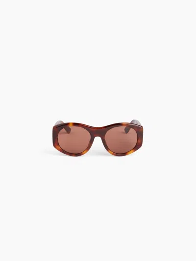 Nina Ricci Lunettes De Soleil Full Moon Round Havane Brillant Tu In Brown