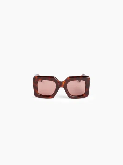 Nina Ricci Precious Square Shiny Havana Sunglasses Tu In Brown