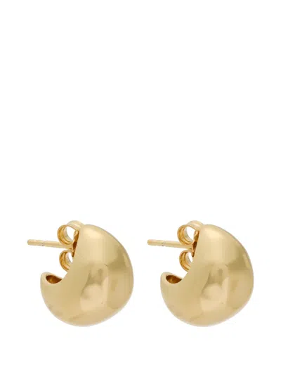 Nina Ricci Sculpted Earrings In Brown