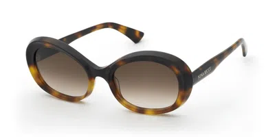 Nina Ricci Snr459 0ape Occhiali Da Sole Tartarugatishell Per Uomo In Black