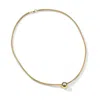 Nina Runsdorf Round Brilliant Diamond Sliding Necklace In 18k Yellow And White Gold,diamond