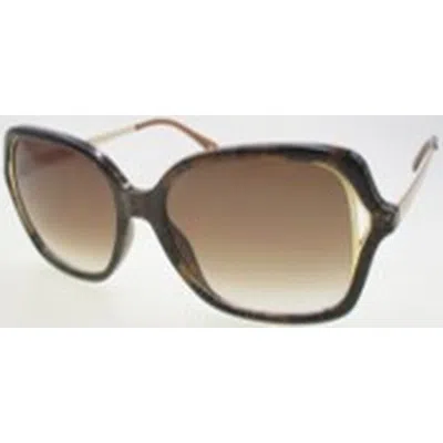 Nine West Brown Butterfly Ladies Sunglasses 10265165.khl Brnbrn