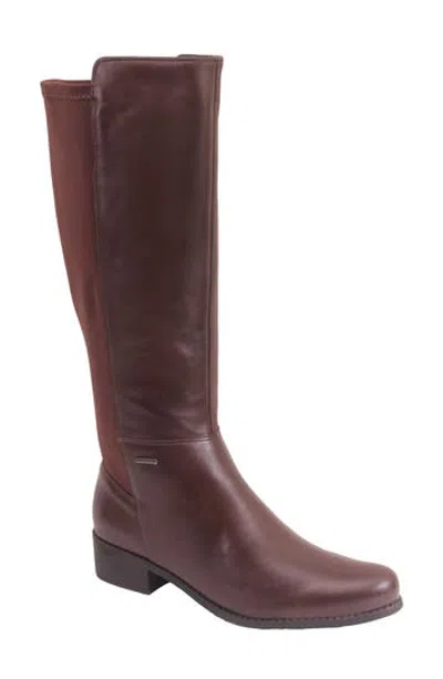 Ninety Union Oliver Leather Knee High Boot In Brown