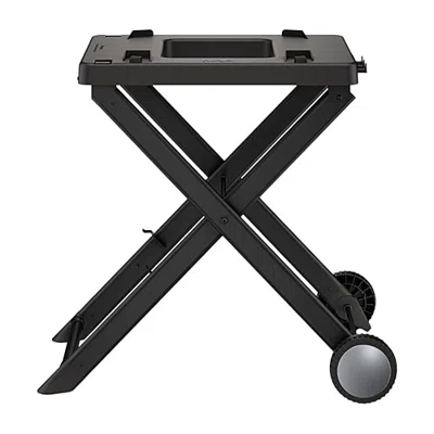 Ninja Woodfire Collapsible Outdoor Grill Stand Grill Organizer In Black