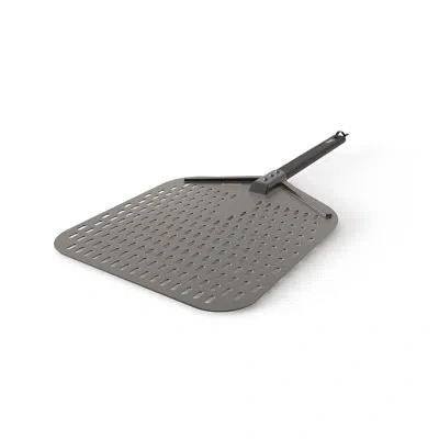 Ninja Woodfire Outdoor Perforated Pizza Peel, Compatible With  Woodfire Outdoor Oven (oo100 Series),  In Silver