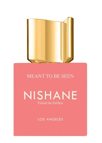 Nishane Meant To Be Seen Extrait De Parfum 100ml