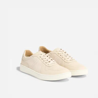 Nisolo Bria Go-to Court Sneaker Bone In Neutral