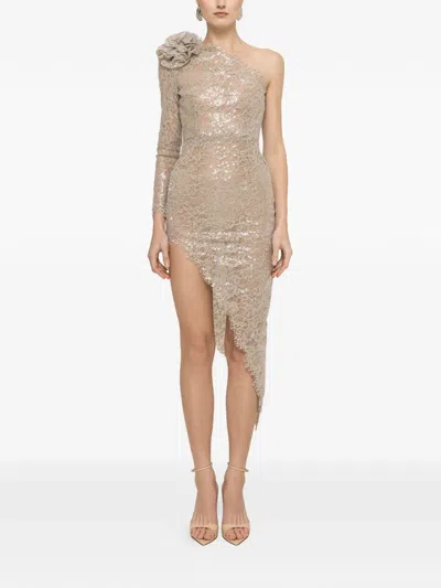Nissa Sequin Lace Dress In Neutral