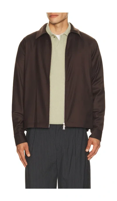 Nn07 Alban 10052 In Brown