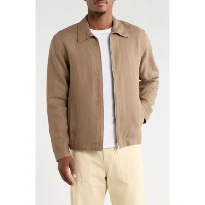 Nn07 Alban 1454 In Brown