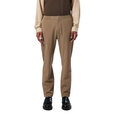 Nn07 Foss Regular Fit Tapered Leg Mid Rise Pant In Brown