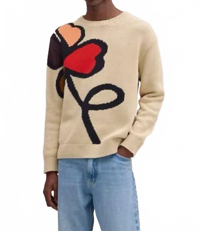 Nn07 Todd Intarsia Sweater In Ecru In Neutral