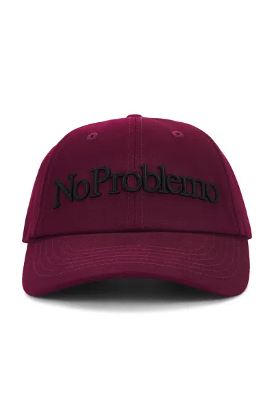 No Problemo Cap In Burgundy