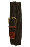 Noah Elastic Belt In Gold