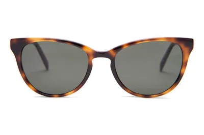 Pre-owned Noah X Warby Parker Shea Sunglasses Multi